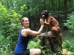 Training mit Hund Frau in einem Wald, die einen Hund auf einem Baumstumpf streichelt.