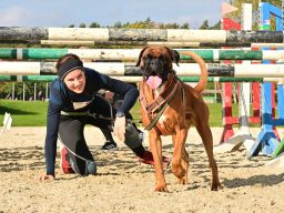 Sport mit Hund Frau trainiert einen Hund im Agility-Parcours auf einem Sandplatz.